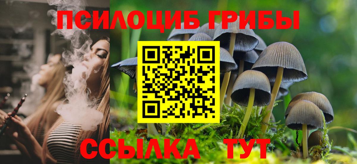 Галлюциногенные грибы Psilocybe  Галлюциногенные грибы GOLDEN TEACHER  Кировск  Вход с VPN 