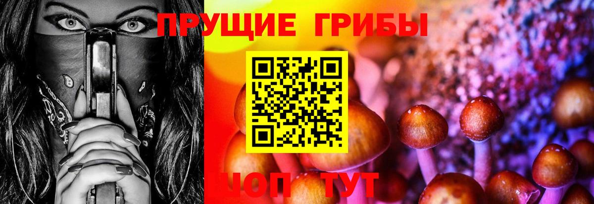 Галлюциногенные грибы Psilocybine cubensis Кировск